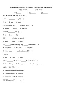 盐城市响水县2023-2024学年英语四下期中教学质量检测模拟试题含答案