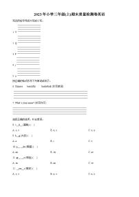 2023-2024学年湖南省邵阳市新宁县湘鲁版三年级上册期末质量检测英语试卷（原卷版+解析版）