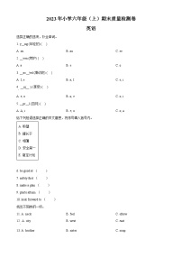 2023-2024学年湖南省邵阳市新宁县湘鲁版六年级上册期末质量检测英语试卷（原卷版+解析版）