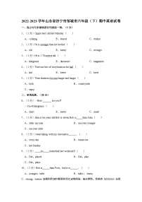 山东省济宁市邹城市2022-2023学年六年级下学期期中英语试卷