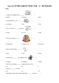 2022-2023学年浙江省温州市平阳县人教PEP版六年级下册期中英语试卷（原卷版+解析版）