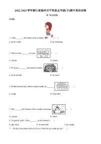 2022-2023学年浙江省温州市平阳县人教PEP版五年级下册期中英语试卷（原卷版+解析版）