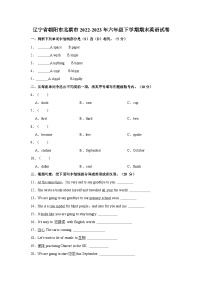 辽宁省朝阳市北票市2022-2023年六年级下学期期末英语试卷（含答案）