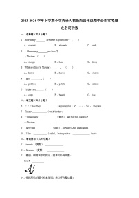 名词的数  2023-2024学年 小学英语 四年级下学期 期中必刷常考题 人教PEP