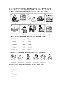 2023-2024学年广东省汕头市澄海区五年级上学期期中英语试卷（含答案）