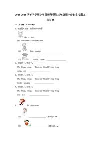 仿写题-2023-2024学年 小学英语 三年级下学期 期中必刷常考题  外研版（含解析）