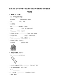 填空题-2023-2024学年 小学英语 三年级下学期 期中必刷常考题  外研版（含解析）