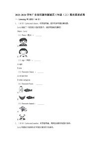 2023-2024学年广东省河源市源城区三年级上学期期末英语试卷（含答案）