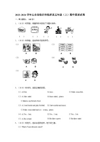 2023-2024学年山东省临沂市临沭县五年级上学期期中英语试卷（含答案）