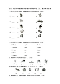 2023-2024学年湖南省长沙市宁乡市四年级上学期期末英语试卷（含答案）