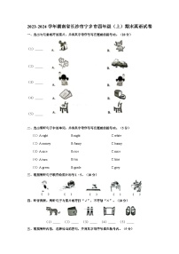 湖南省长沙市宁乡市2023-2024学年四年级上学期期末英语试卷