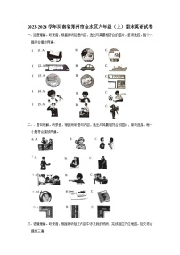 2023-2024学年河南省郑州市金水区六年级上学期期末英语试卷（含答案）