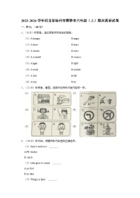 2023-2024学年河北省沧州市黄骅市六年级上学期期末英语试卷（含答案）