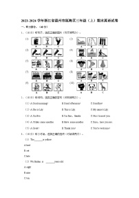 浙江省温州市瓯海区2023-2024学年三年级上学期期末英语试卷+