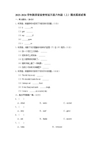 2023-2024学年陕西省延安市延川县六年级上学期期末英语试卷（含答案）