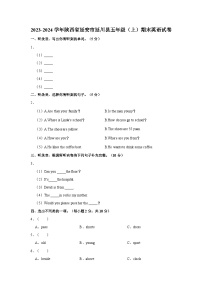 2023-2024学年陕西省延安市延川县五年级上学期期末英语试卷（含答案）