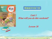 人教精通版四年级下册Unit 5  What will you do this weekend?Lesson 28教学ppt课件