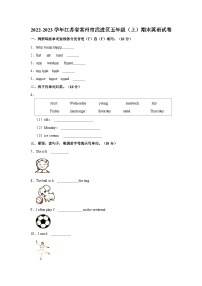 2022-2023学年江苏省常州市武进区五年级上学期期末英语试卷（含答案）