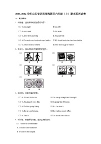 2023-2024学年山东省济南市槐荫区六年级上学期期末英语试卷（含答案）