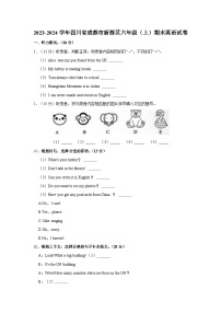 2023-2024学年四川省成都市新都区六年级上学期期末英语试卷（含答案）