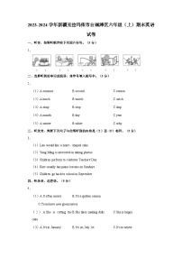 新疆维吾尔自治区克拉玛依市白碱滩区2023-2024学年六年级上学期期末英语试卷（含答案）