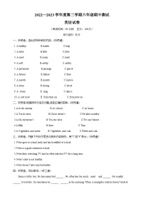 2022-2023学年江苏省南通市如皋市如城小学译林版（三起）六年级下册期中质量检测英语试卷（原卷版+解析版）