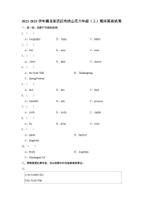 2022-2023学年湖北省武汉市洪山区六年级上学期期末英语试卷（含答案）