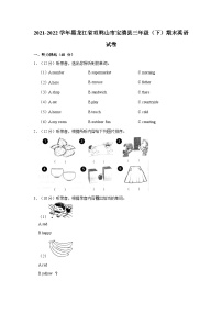 2021-2022学年黑龙江省双鸭山市宝清县三年级（下）期末英语试卷