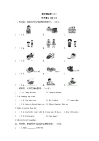 期中模拟检测卷（试题）-2023-2024学年人教PEP版英语六年级下册