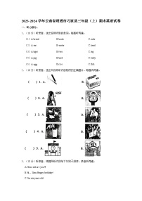 2023-2024学年云南省昭通市巧家县三年级（上）期末英语试卷