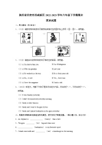 陕西省西安市西咸新区2022-2023学年六年级下学期期末英语试题（含答案）