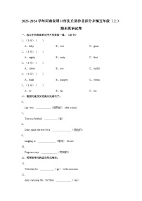 2023-2024学年河南省周口市沈丘县沙北部分乡镇五年级（上）期末英语试卷