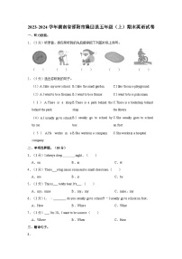 2023-2024学年湖南省邵阳市隆回县五年级（上）期末英语试卷