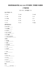 2022-2023学年甘肃省定西市陇西思源实验学校陕旅版（三起）三年级下册期中质量检测英语试卷（原卷版+解析版）