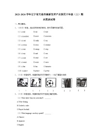 2023-2024学年辽宁省大连市高新技术产业园区六年级（上）期末英语试卷