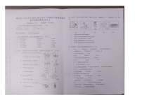 福建省莆田市秀屿区埭头第二中心小学2022-2023学年四年级下学期期末英语试题