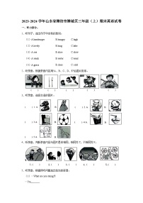 2023-2024学年山东省潍坊市潍城区三年级（上）期末英语试卷