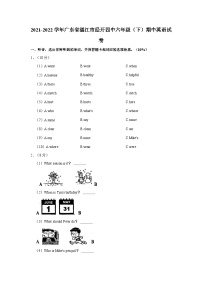 2021-2022学年广东省湛江市经开四中六年级（下）期中英语试卷