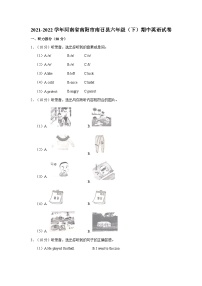 2021-2022学年河南省南阳市南召县六年级（下）期中英语试卷