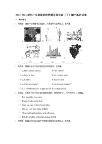 2022-2023学年广东省深圳市罗湖区四年级下学期期中英语试卷（含答案）