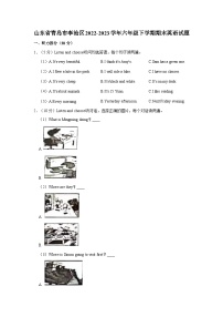 山东省青岛市李沧区2022-2023学年六年级下学期期末英语试题（含答案）