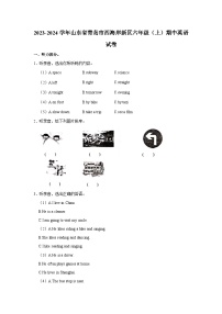 2023-2024学年山东省青岛市西海岸新区六年级上学期期中英语试卷（含答案）