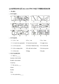 山东省青岛市市北区2022-2023学年六年级下学期期末英语试卷（含答案）