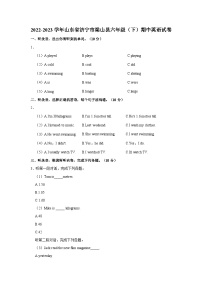 2022-2023学年山东省济宁市梁山县六年级下学期期中英语试卷（含答案）