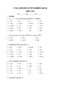 专题02 语音-2023-2024学年译林版六年级上册英语期末复习常考易错题型分类汇编