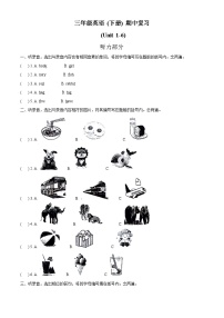 2022-2023学年广东省深圳市罗湖区沪教牛津版（深圳用）三年级下册期中质量检测英语试卷（原卷版+解析版）