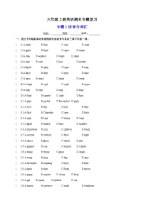 专题1 语音与词汇-2023-2024学年译林版六年级上册英语期末专题复习