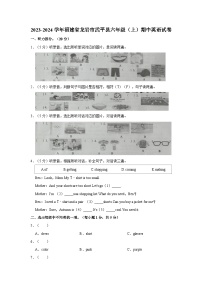 福建省龙岩市武平县2023-2024学年六年级上学期期中英语试卷+