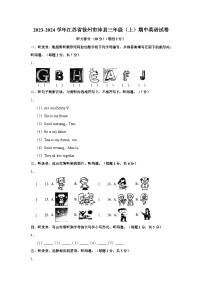 江苏省徐州市沛县2023-2024学年三年级上学期期中英语试题（含答案）