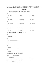 河南省周口市鹿邑县部分学校2023-2024学年六年级上学期期中英语试卷+